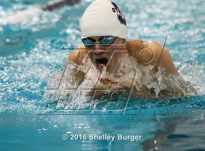 Thumbnail 3 in Fairfield Ludlowe/Warde @Staples photogallery.
