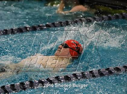 Thumbnail 3 in Fairfield Ludlowe/Warde @Staples photogallery.