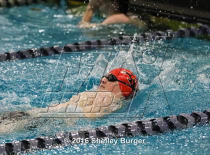 Thumbnail 1 in Fairfield Ludlowe/Warde @Staples photogallery.