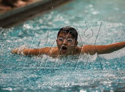 Thumbnail 1 in Fairfield Ludlowe/Warde @Staples photogallery.