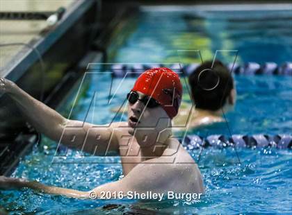 Thumbnail 3 in Fairfield Ludlowe/Warde @Staples photogallery.