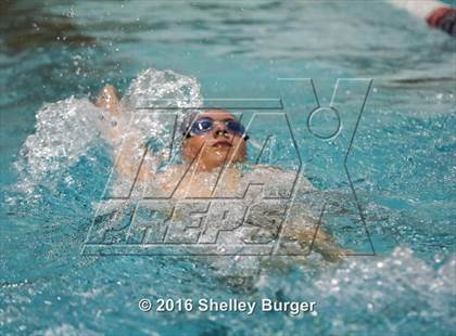 Thumbnail 1 in Fairfield Ludlowe/Warde @Staples photogallery.