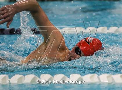 Thumbnail 1 in Fairfield Ludlowe/Warde @Staples photogallery.