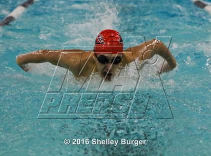 Thumbnail 1 in Fairfield Ludlowe/Warde @Staples photogallery.