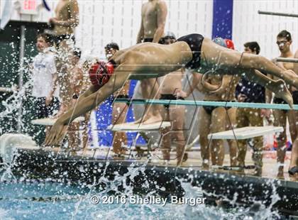 Thumbnail 1 in Fairfield Ludlowe/Warde @Staples photogallery.