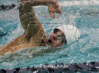 Thumbnail 3 in Fairfield Ludlowe/Warde @Staples photogallery.