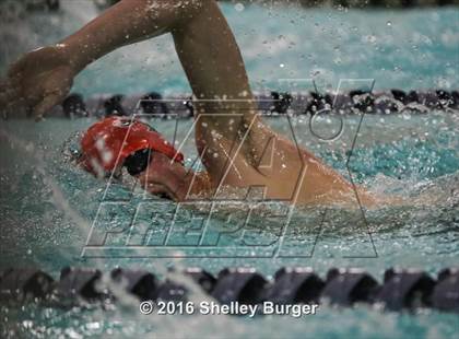 Thumbnail 2 in Fairfield Ludlowe/Warde @Staples photogallery.