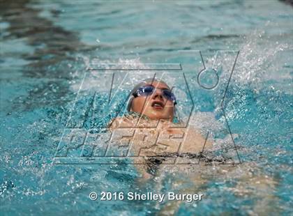 Thumbnail 1 in Fairfield Ludlowe/Warde @Staples photogallery.