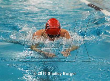 Thumbnail 3 in Fairfield Ludlowe/Warde @Staples photogallery.