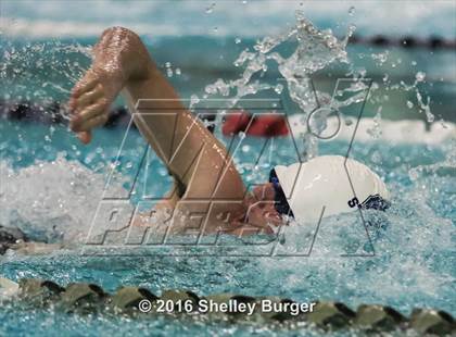 Thumbnail 2 in Fairfield Ludlowe/Warde @Staples photogallery.