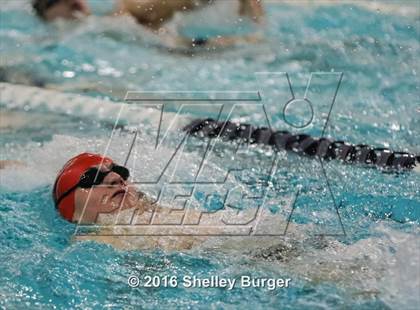 Thumbnail 3 in Fairfield Ludlowe/Warde @Staples photogallery.