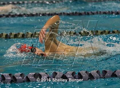 Thumbnail 3 in Fairfield Ludlowe/Warde @Staples photogallery.