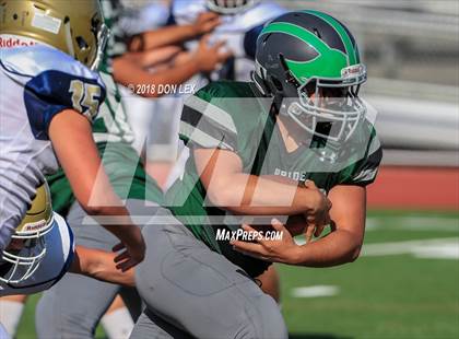 Thumbnail 1 in JV: Napa @ Pitman photogallery.