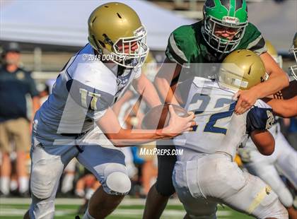 Thumbnail 3 in JV: Napa @ Pitman photogallery.
