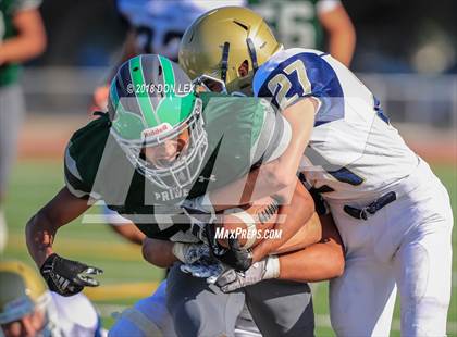 Thumbnail 2 in JV: Napa @ Pitman photogallery.