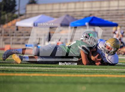 Thumbnail 1 in JV: Napa @ Pitman photogallery.