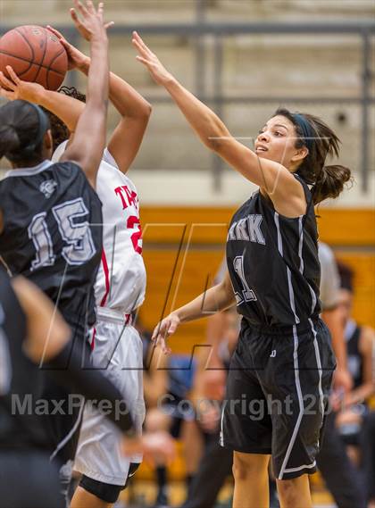 Thumbnail 2 in Clark vs. Taft photogallery.