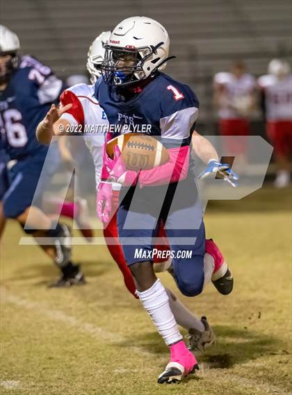 Thumbnail 1 in Western Harnett @ Terry Sanford photogallery.