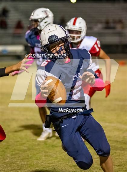 Thumbnail 1 in Western Harnett @ Terry Sanford photogallery.