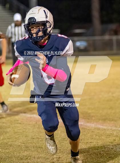 Thumbnail 3 in Western Harnett @ Terry Sanford photogallery.