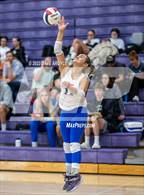 Photo from the gallery "Skyridge vs. Timpview (Riverton Fall Classic)"