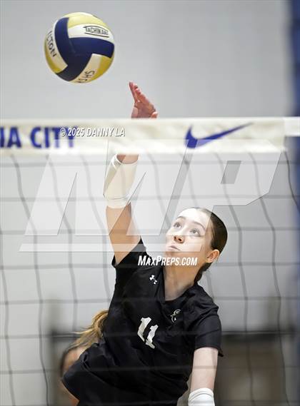 Thumbnail 3 in Hylton @ South County photogallery.