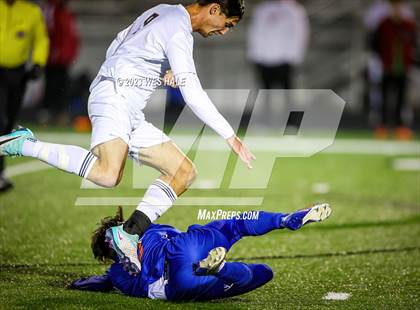 Thumbnail 3 in Southaven @ Center Hill photogallery.