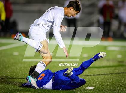 Thumbnail 1 in Southaven @ Center Hill photogallery.