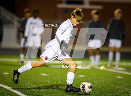 Thumbnail 3 in Southaven @ Center Hill photogallery.