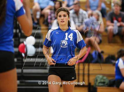 Thumbnail 2 in Ridgeview @ Menendez photogallery.