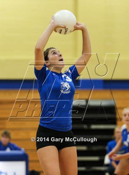 Thumbnail 2 in Ridgeview @ Menendez photogallery.