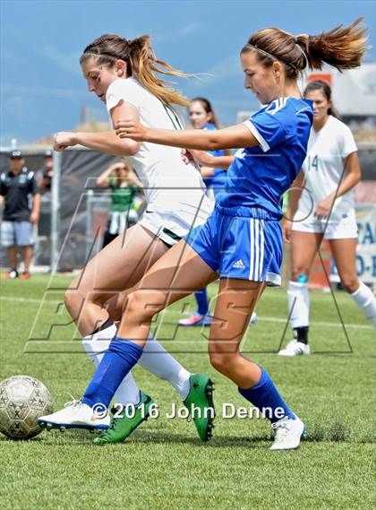 Thumbnail 3 in Bosque vs. Farmington photogallery.