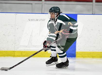 Thumbnail 3 in Notre Dame-Fairfield vs. Hamden (Carrano Cup Consolation) photogallery.