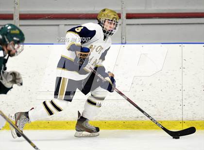 Thumbnail 3 in Notre Dame-Fairfield vs. Hamden (Carrano Cup Consolation) photogallery.