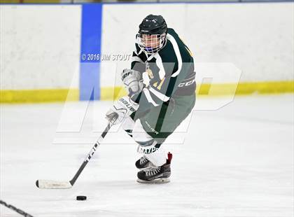 Thumbnail 3 in Notre Dame-Fairfield vs. Hamden (Carrano Cup Consolation) photogallery.