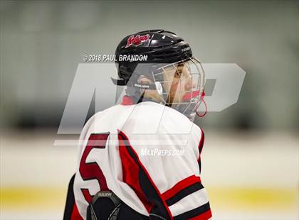 Thumbnail 1 in Eastern CT Eagles @ Redhawks photogallery.