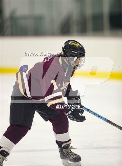 Thumbnail 1 in Eastern CT Eagles @ Redhawks photogallery.