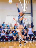 Photo from the gallery "Henderson @ New Diana"