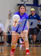 Photo from the gallery "Henderson @ New Diana"