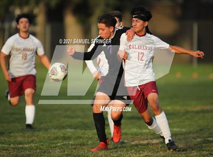 Thumbnail 3 in Calaveras @ Escalon photogallery.