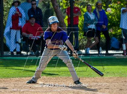 Thumbnail 1 in Carlsbad @ Cathedral Catholic (CIF SDS D3 Playoffs) photogallery.
