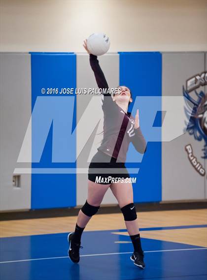 Thumbnail 1 in University Prep @ Excelsior Charter photogallery.