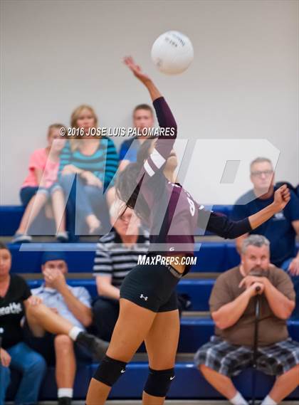 Thumbnail 2 in University Prep @ Excelsior Charter photogallery.