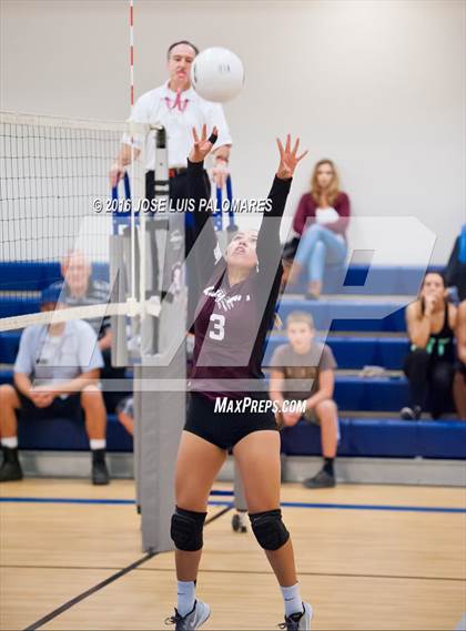 Thumbnail 2 in University Prep @ Excelsior Charter photogallery.