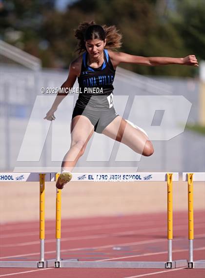 Thumbnail 2 in Dana Hills @ El Toro photogallery.