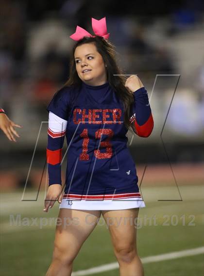 Thumbnail 3 in Oak Ridge @ Pleasant Grove photogallery.