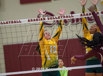 Thumbnail 1 in Highlands vs Crystal City (Arabian Round-up) photogallery.