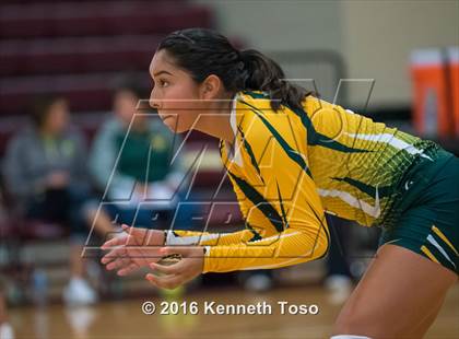 Thumbnail 3 in Highlands vs Crystal City (Arabian Round-up) photogallery.