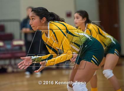 Thumbnail 1 in Highlands vs Crystal City (Arabian Round-up) photogallery.