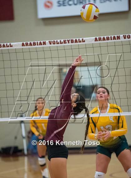 Thumbnail 3 in Highlands vs Crystal City (Arabian Round-up) photogallery.